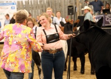 From 2010 to 2022, 6,570 head of livestock have shown at Summer Synergy, representing beef, dairy, equine and sheep.